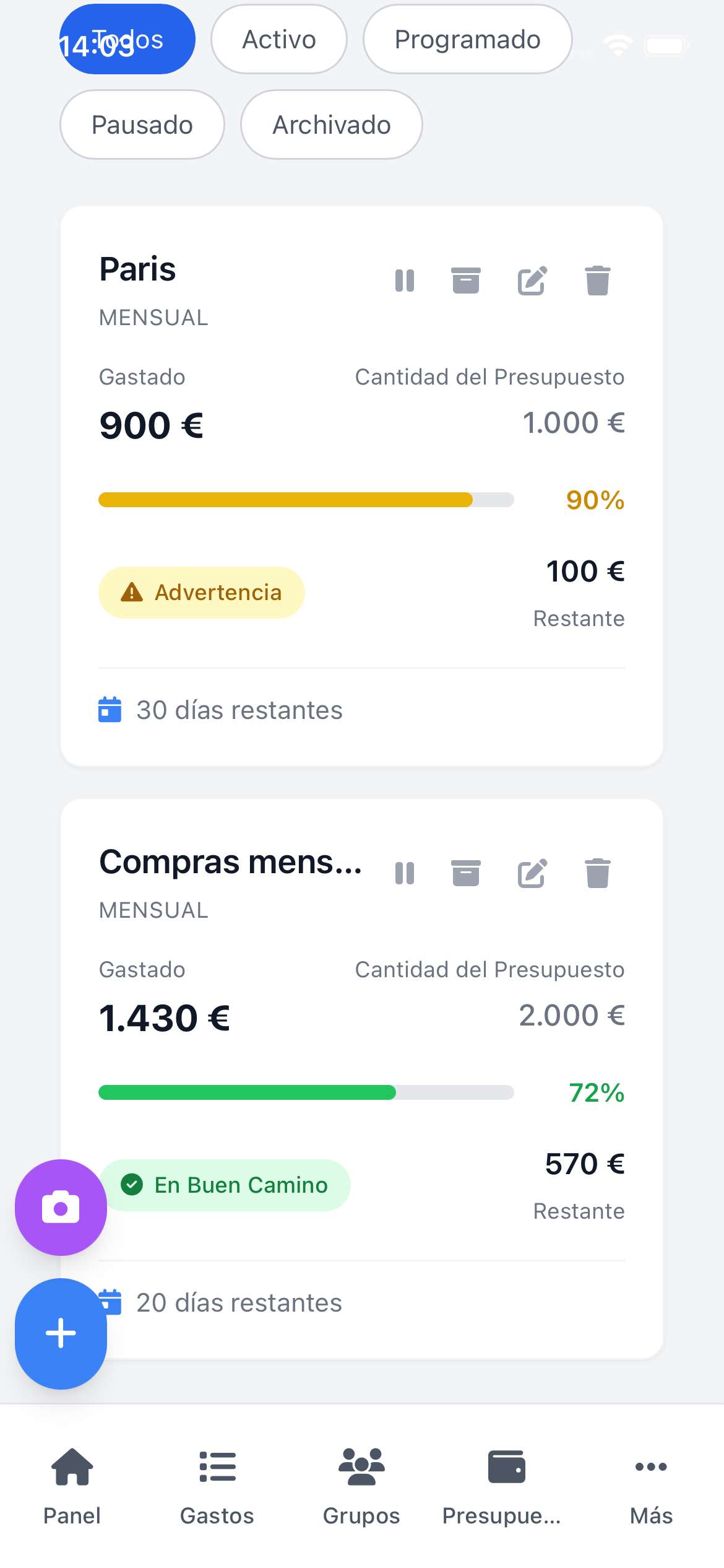 Panel de presupuestos mostrando categorías de gasto